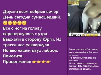 Пост о животных был в соцсетях | Источник: предоставила Алена