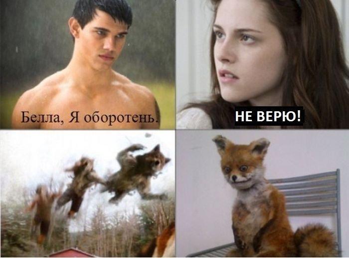 Источник: Соцсети