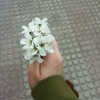 userpic__Василиса