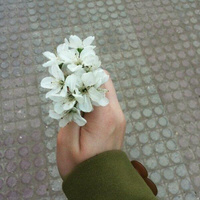 Аватарка Василиса