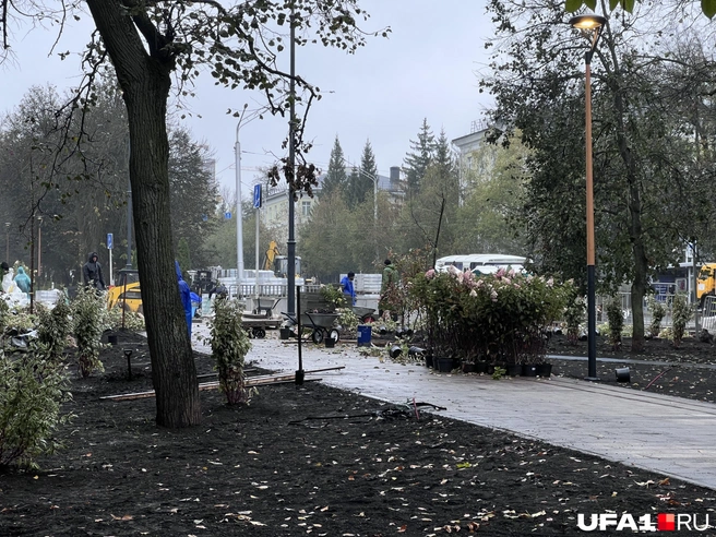 Фонари работают, видимо, для теста | Источник: Андрей Бирюков / UFA1.RU