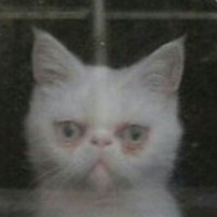 Аватарка Прокрастелинина