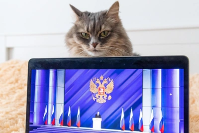 Жительницу Ханты-Мансийска оштрафовали за оскорбление президента