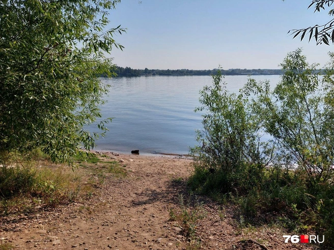 На фотографии&nbsp;— берег, к которому причалил речной трамвай | Источник: Варвара Киселева / 76.RU 