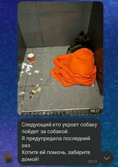 Источник: соцсети