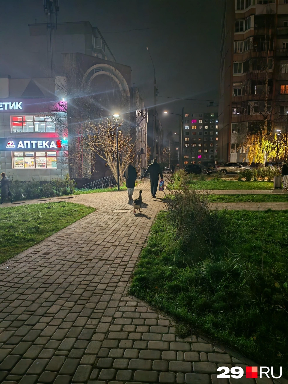 Источник: Яна Будрина
