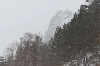 Жена пропавшего на Столбах поделилась деталями исчезновения