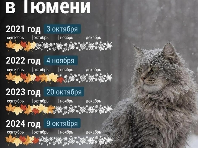 Источник: Дмитрий Гладышев / 72.RU