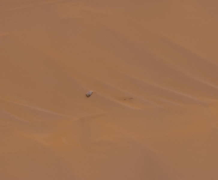 На вечном покое: в марсианских песках разглядели оторванную лопасть вертолета Ingenuity