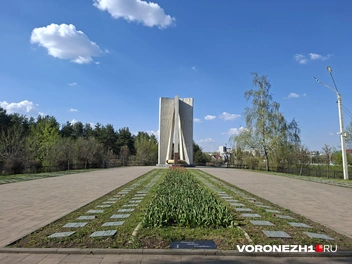 Источник: Алёна Воропаева / Voronezh1.ru