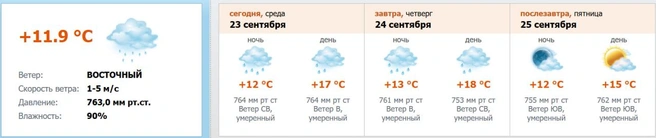 Скриншот с meteo.nw.ru