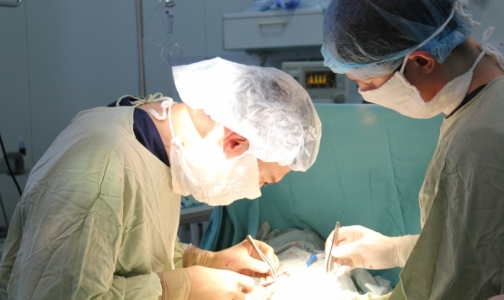 В Детской больнице Марии Магдалины показали операцию по коррекции гипоспадии