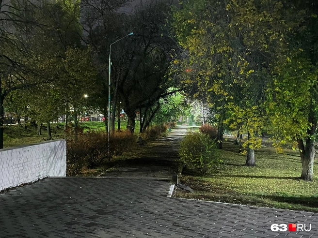 По этой дорожке ходить не так страшно. Хорошо, что есть фонари | Источник: Ксения Бирюкова / 63.RU