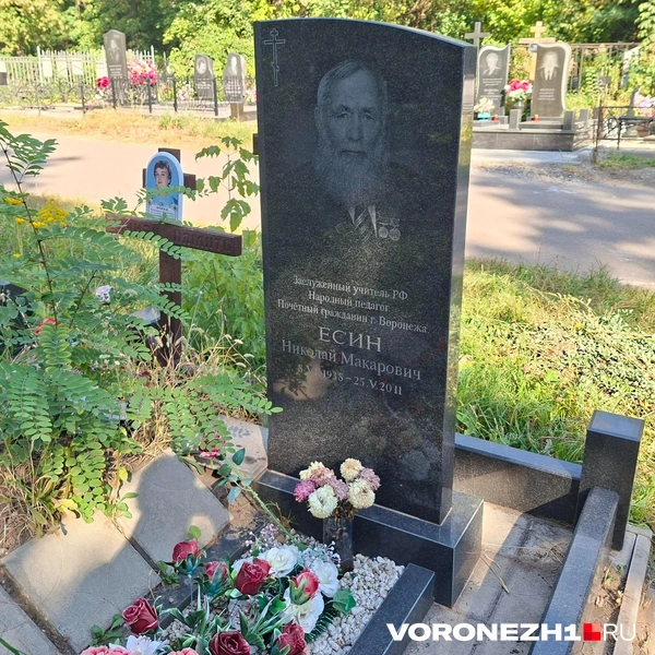 Источник: Алена Воропаева / Voronezh1.ru