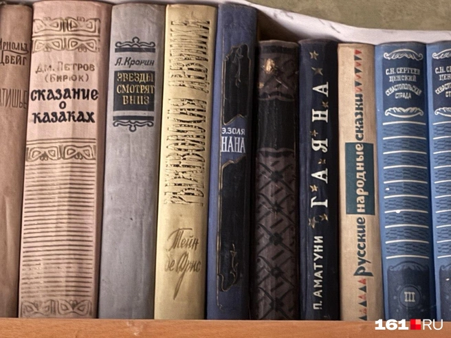 Петроний Гай Аматуни — писатель из Ростовской области | Источник: Марина Рыбалкина / 161.RU