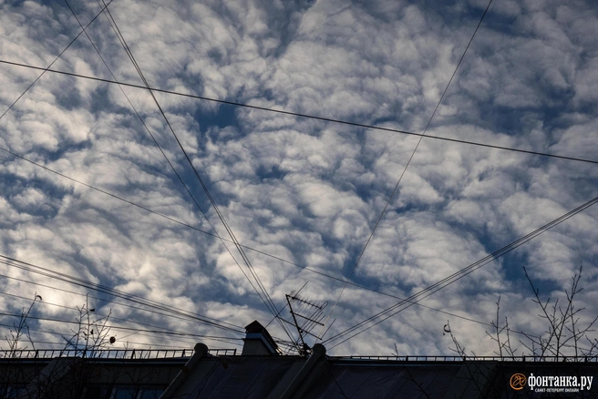 За сутки это уже вторая опасность атаки БПЛА | Источник: Михаил Огнев / FONTANKA.RU