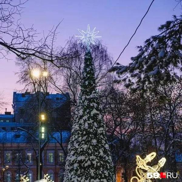 Источник: Тимофей Калмаков / 59.RU