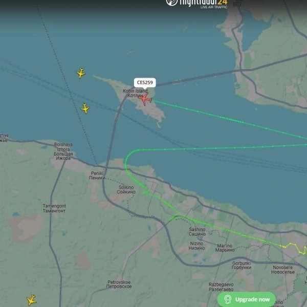 Над Петербургом кружат самолеты. Наблюдается небольшая задержка рейсов | www.fontanka.ru