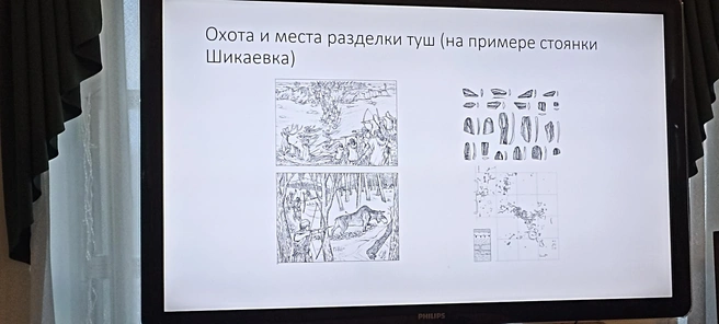 На мамонтов с копьями и луками вряд ли охотились, а на дичь поменьше&nbsp;— могли | Источник: Анна Сарапульцева / 45.RU