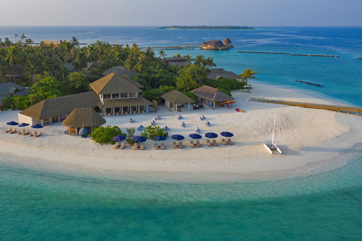 Поплавать с гигантскими черепахами и ощутить европейское гостеприимство Мальдив: куда ехать в апреле за новыми впечатлениями