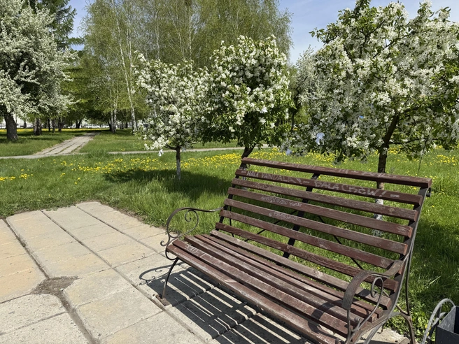 В Куране цветут яблони | Источник: Юлия Король