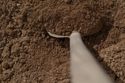 Bury Your Talent in the Ground: The History and Meaning