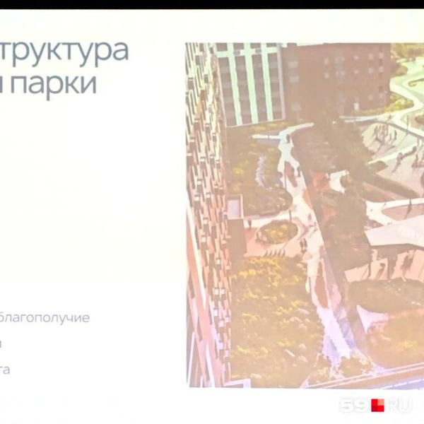 Жители теперь мечтают о близости к природе | Источник: Юлия Рожкова