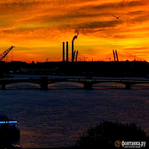 Огненный или малиновый? Потрясающий закат в Петербурге | Источник: супервидовая камера «Фонтанки» / Отличный Петербург