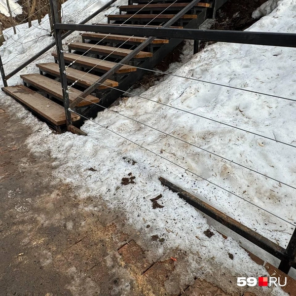 Хозяева не убирают за своими собаками даже если они сходили в туалет прямо на настиле | Источник: Наталья Пальникова / 59.RU