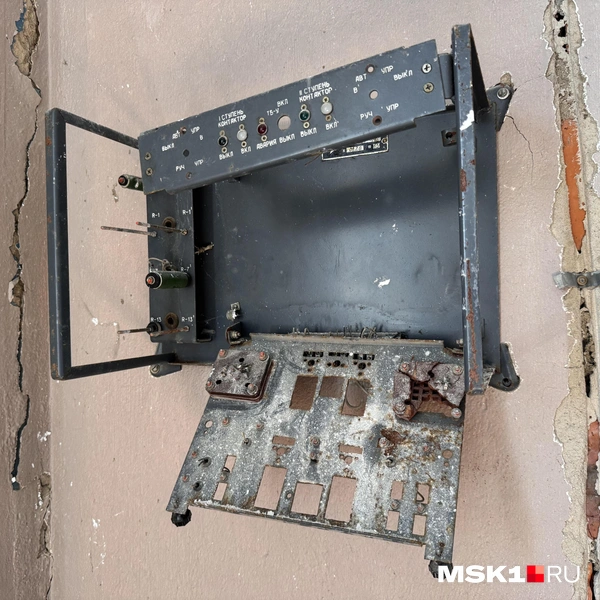 Источник: Алина Мельникова / MSK1.RU