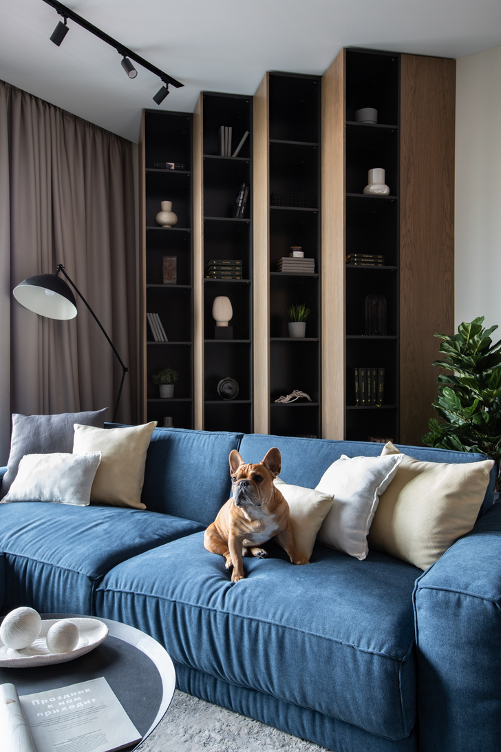 Квартира 73 м² в Москве для молодой пары с собакой