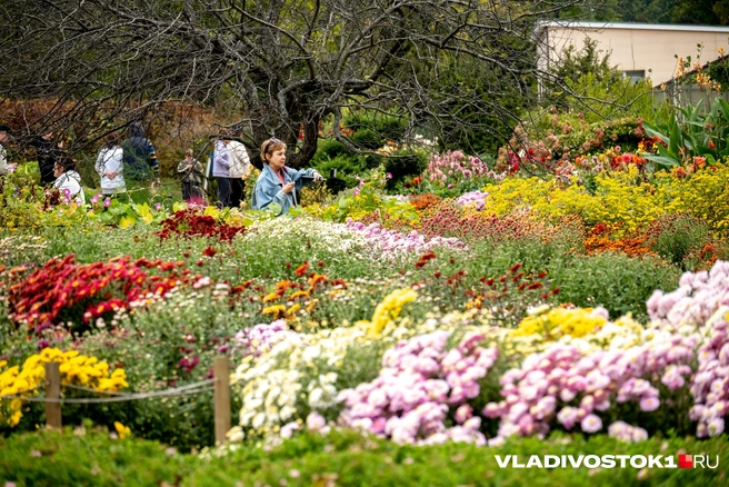И даже в плохую погоду буднего дня у цветущего сада много гостей | Источник: Елена Буйвол / VLADIVOSTOK1.RU