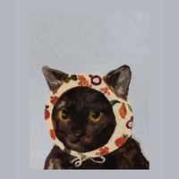 Аватарка Stratachella