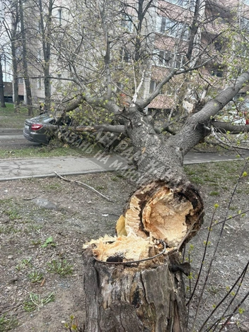 Источник: Казань на максималках / t.me