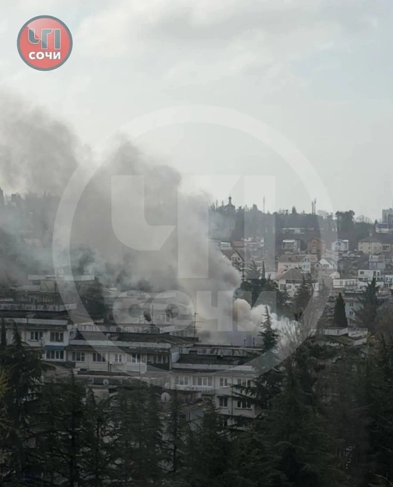 Пожарные не дали огню распространиться | Источник: chp_sochi/max.ru