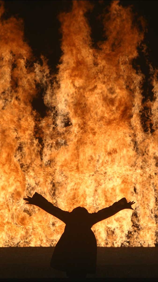 Билл Виола. Огненная женщина. 2005. Видео/звуковая инсталляция. 11'12’’.