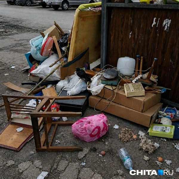 Источник: Любовь Никитина