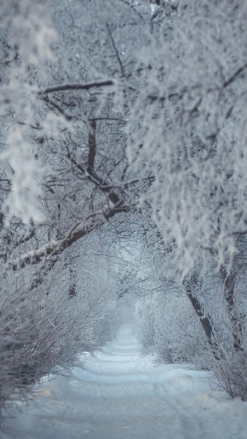 Источник: Иван Митюшёв