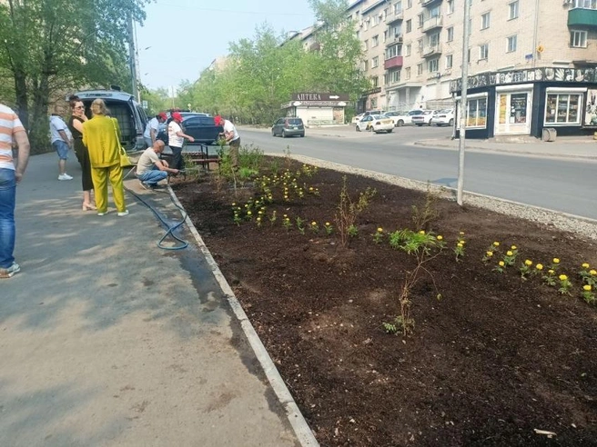 Цветы высаживали рисунком | Источник: пресс-служба правительства Забайкальского края