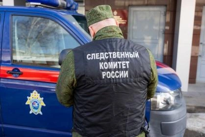 Источник: udm.sledcom.ru