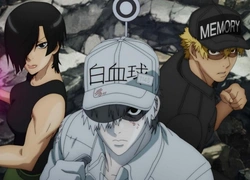 Син-тян под раздачей: В Китае временно запретили японское кино и мультфильмы