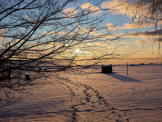 Источник: Александр Ощепков / NGS.RU