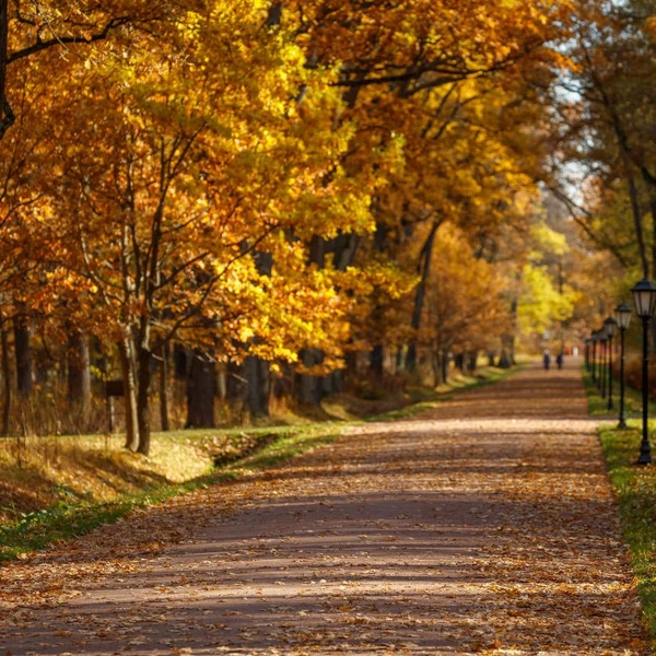 Источник: музей-заповедник «Петергоф»