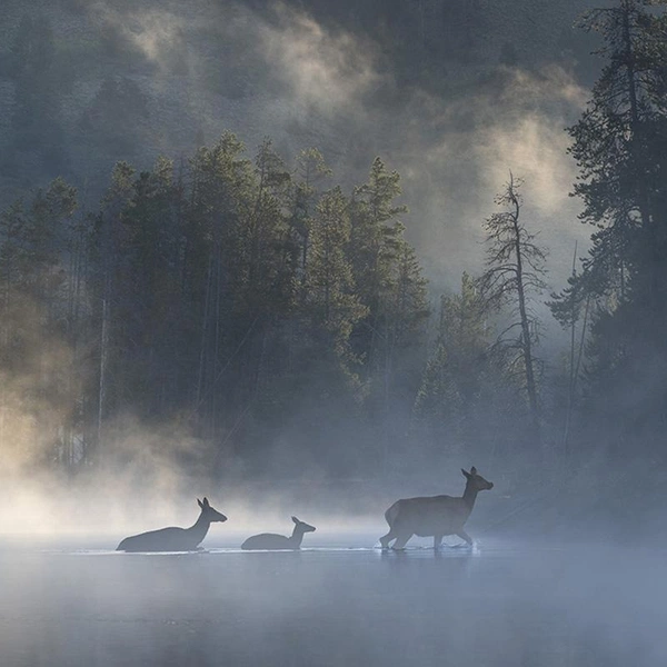 Источник: Michael Mihaljevich / Fine Art Photography Awards 2025