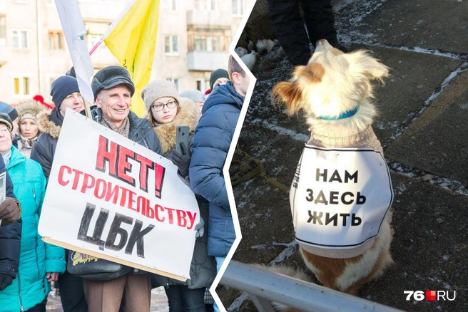 Обе акции против строительства ЦБК, которые пройдут в субботу в Ярославле, согласованы | Источник: читатель 76.RU