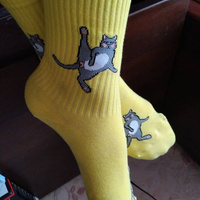 Аватарка Muradik