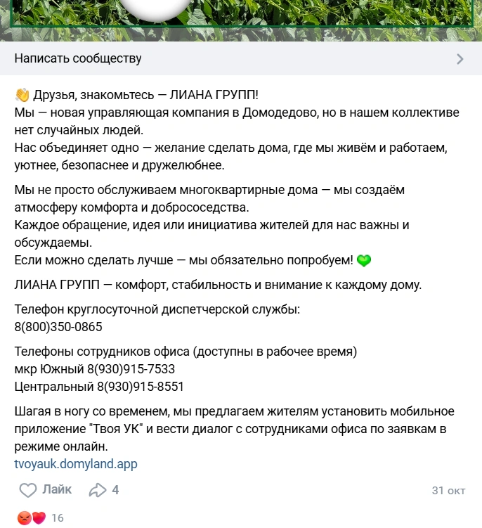 Источник: ЛИАНА ГРУПП / Vk.com