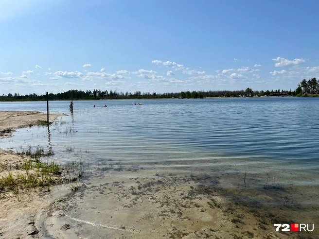 Вода прозрачная, а дно илистое | Источник: Илья Чикотин / 72.RU