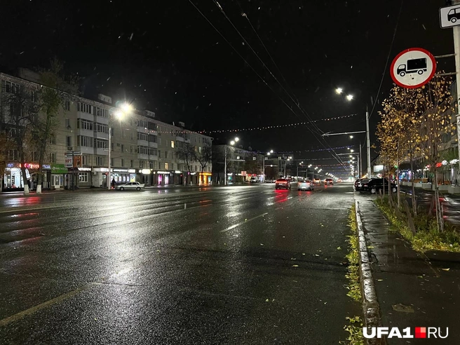 Листья на некоторых деревьях ещё остались | Источник: Андрей Бирюков / UFA1.RU