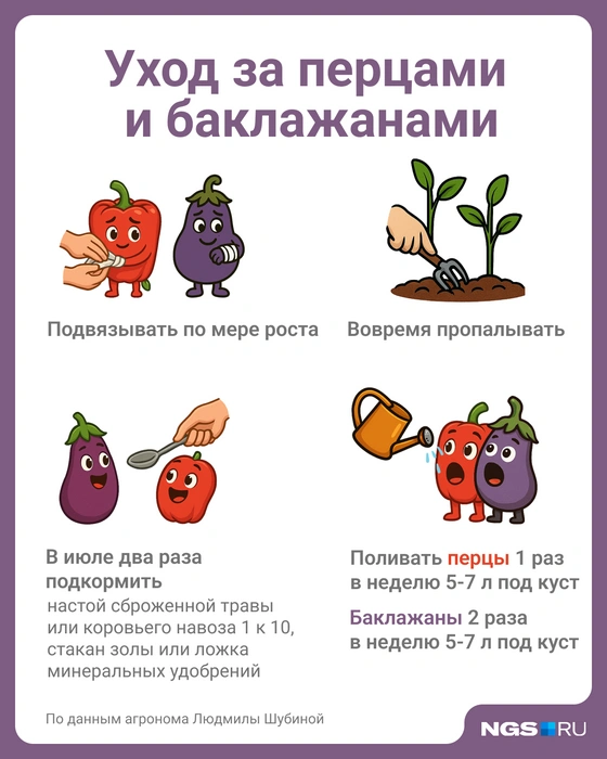 Сохраните эту важную картинку-напоминалку | Источник: Юрий Орлов / Городские медиа